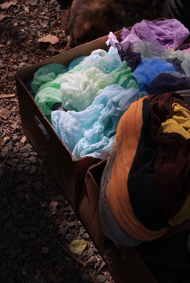 Field notes: a week with the dyers